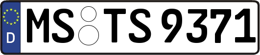MS-TS9371