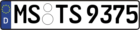 MS-TS9375