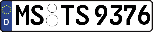 MS-TS9376