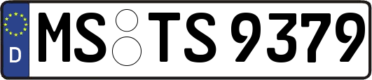 MS-TS9379