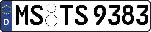 MS-TS9383