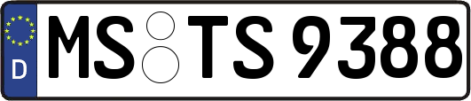 MS-TS9388