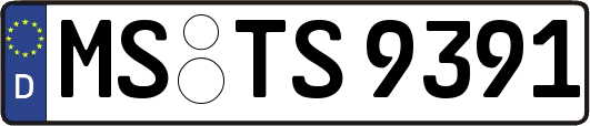 MS-TS9391