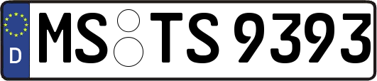 MS-TS9393
