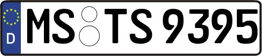 MS-TS9395