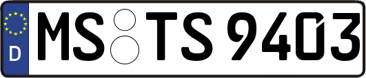 MS-TS9403