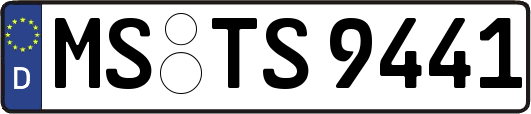 MS-TS9441