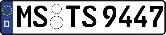 MS-TS9447