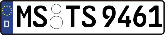 MS-TS9461