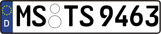 MS-TS9463