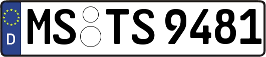 MS-TS9481