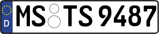 MS-TS9487