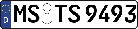 MS-TS9493