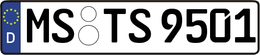 MS-TS9501