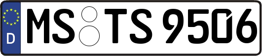 MS-TS9506