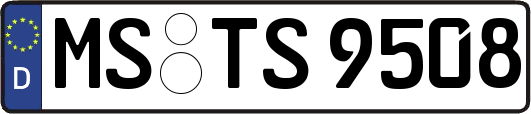 MS-TS9508
