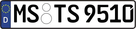 MS-TS9510