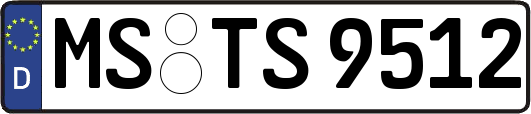 MS-TS9512