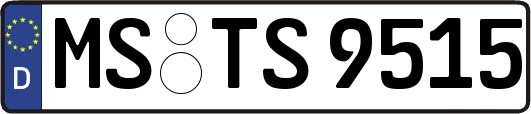 MS-TS9515