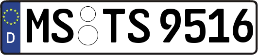 MS-TS9516