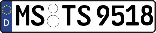 MS-TS9518