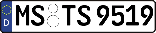MS-TS9519