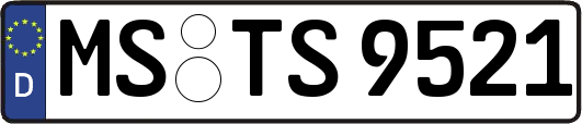 MS-TS9521