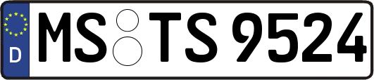 MS-TS9524