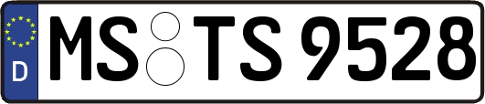 MS-TS9528