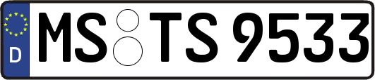 MS-TS9533