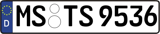 MS-TS9536