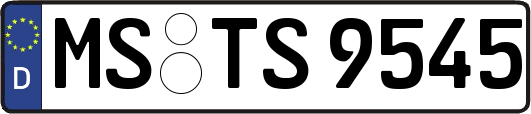 MS-TS9545
