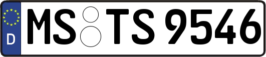 MS-TS9546