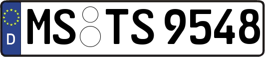 MS-TS9548