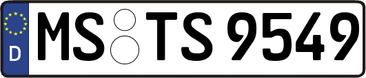MS-TS9549