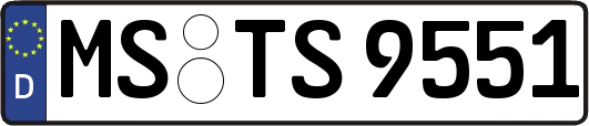 MS-TS9551