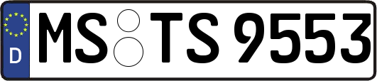 MS-TS9553