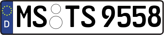 MS-TS9558