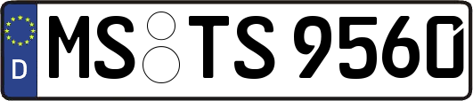 MS-TS9560