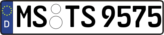 MS-TS9575