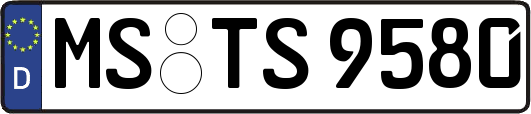 MS-TS9580