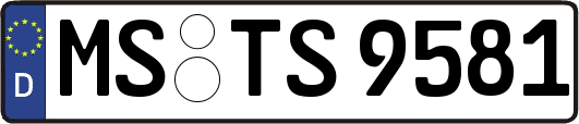 MS-TS9581