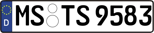 MS-TS9583