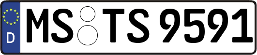 MS-TS9591