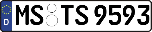 MS-TS9593