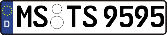 MS-TS9595