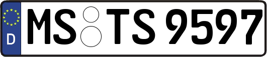 MS-TS9597