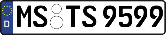 MS-TS9599