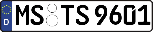 MS-TS9601