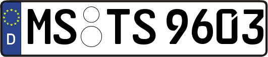 MS-TS9603